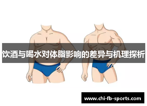 饮酒与喝水对体脂影响的差异与机理探析 饮酒与喝水对体脂影响的差异与机理探析